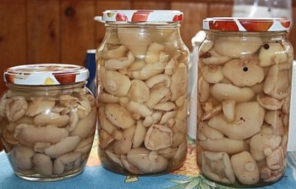 Маринованные маслята в баночках